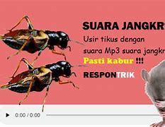 Download Suara Jangkrik Pengusir Tikus Mp3 Durasi Panjang